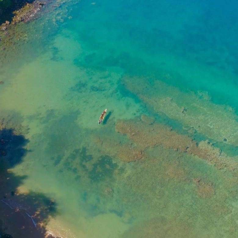 780