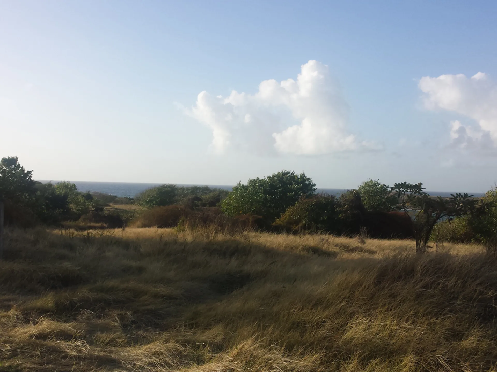 Canelles Land No 96 2