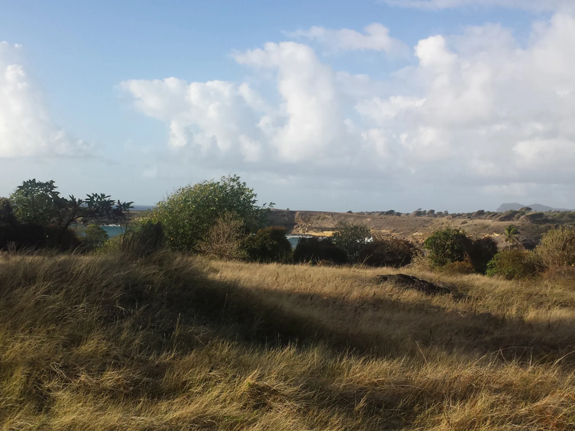 Canelles Land No 96 3