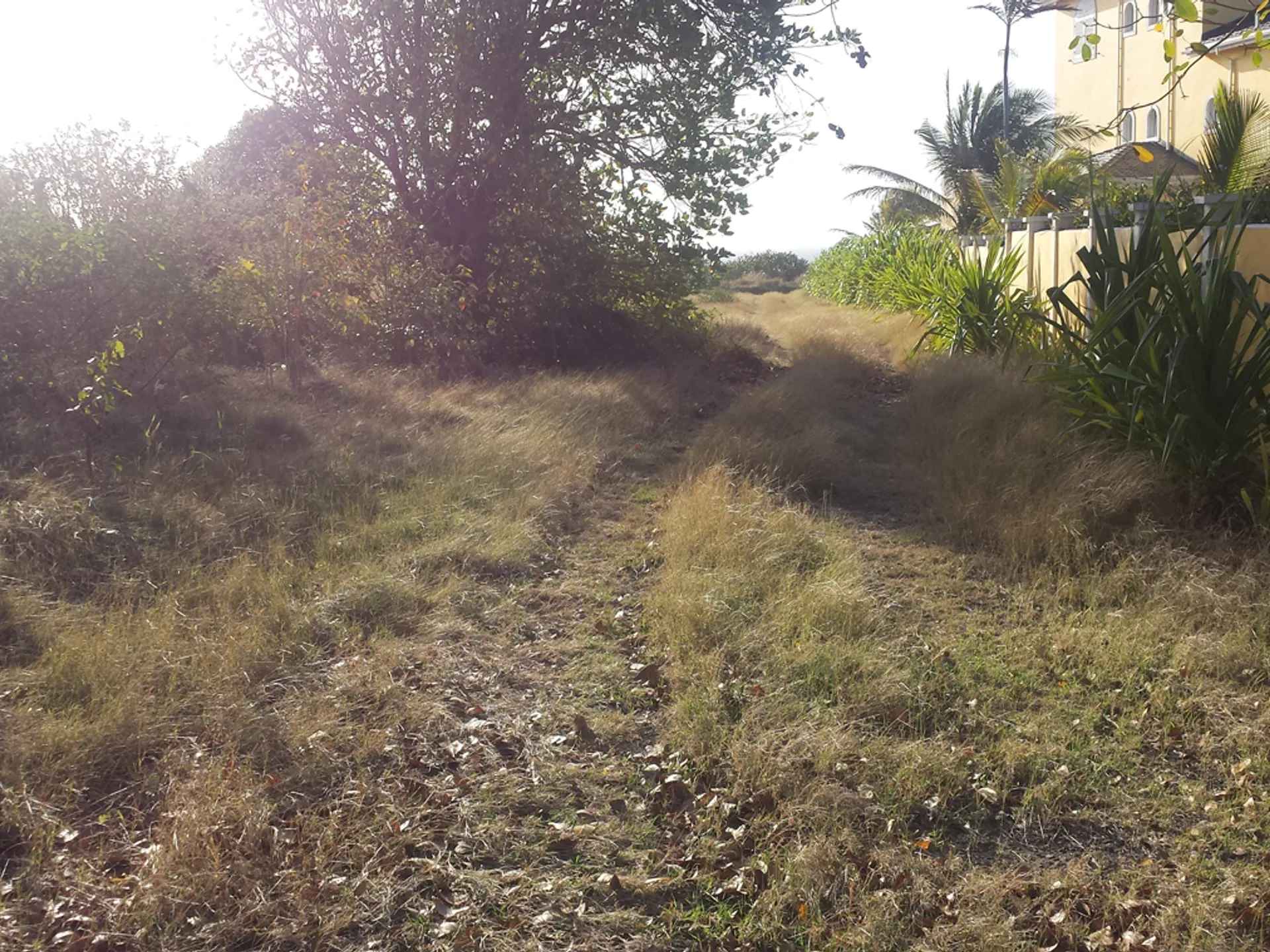 Canelles Land No 96 7