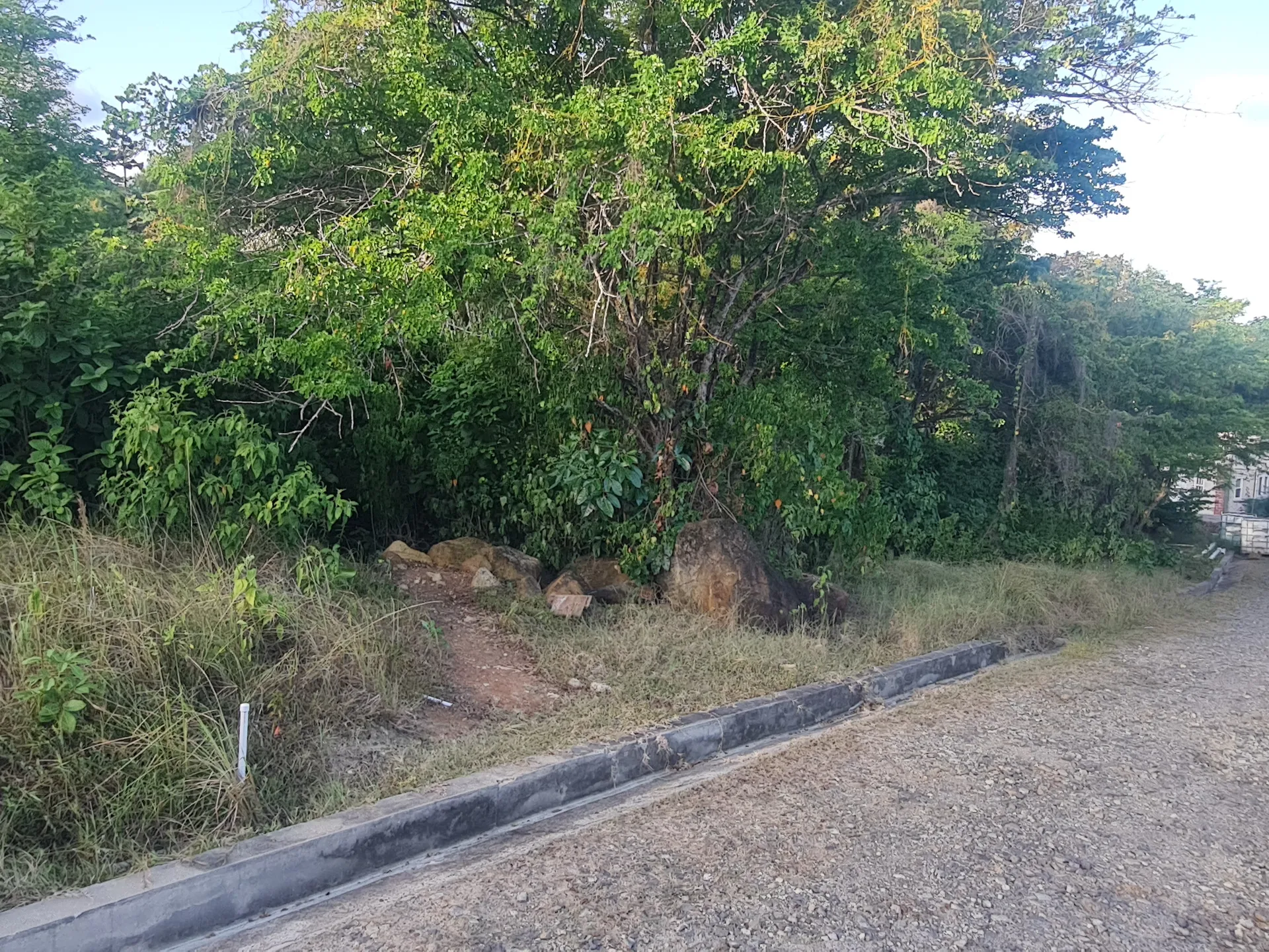 Savannes Bay Land No. 471 3
